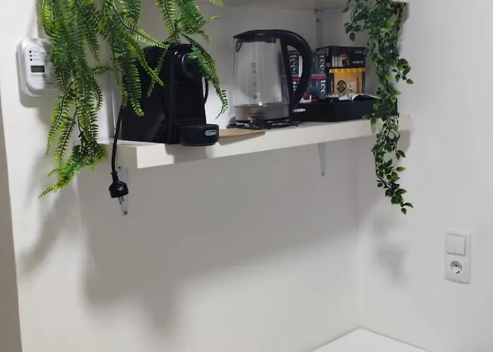 Evas Lendflat - Zentral Und Ruhig グラーツ